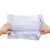 BSTech Foliopak koperta foliowa mocna FB05/C3 350X460 karton 1200 sztuk-11447138
